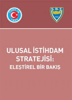 ULUSAL İSTİHDAM STRATEJİSİ: ELEŞTİREL BİR BAKIŞ 