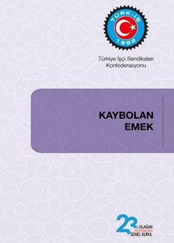 KAYBOLAN EMEK