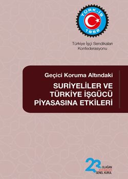 SURİYELİLER VE TÜRKİYE İŞGÜCÜ PİYASASINA ETKİLERİ